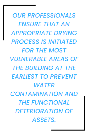 image 028 - why hiring a specialist water damage  restoration company is essential to  maximize savings